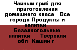 Чайный гриб для приготовления домашнего кваса - Все города Продукты и напитки » Безалкогольные напитки   . Тверская обл.,Кашин г.